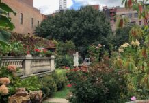 Із закинутого місця у мальовничий сад: історія Elizabeth Street Garden