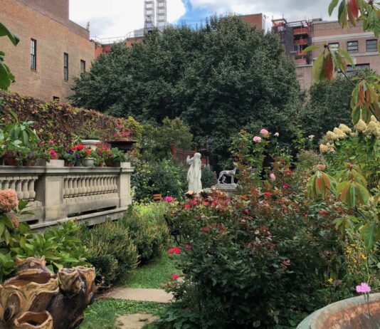 Із закинутого місця у мальовничий сад: історія Elizabeth Street Garden