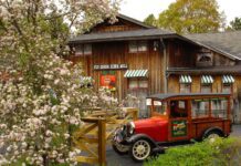 Сидр, домашній сир та смачні десерти: що пропонують гостям відомої нью-йоркської ферми