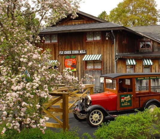 Сидр, домашний сыр и вкусные десерты: что предлагают гостям знаменитой нью-йоркской фермы