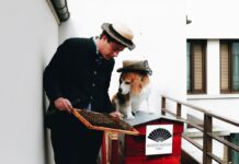 Bee gardens on skyscrapers: why is beekeeping popular in New York?