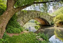 Легендарне місце мегаполісу: історія Центрального парку у Нью-Йорку