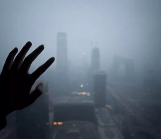 How do they fight air pollution in New York?