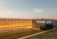 Екологічна чиста ферма “Gotham Greens”, заснована у Нью-Йорку