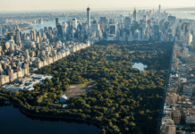 Як парки Нью-Йорка захищають вимираючі види тварин?