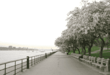 Історія парку Ріверсайд у Нью-Йорку