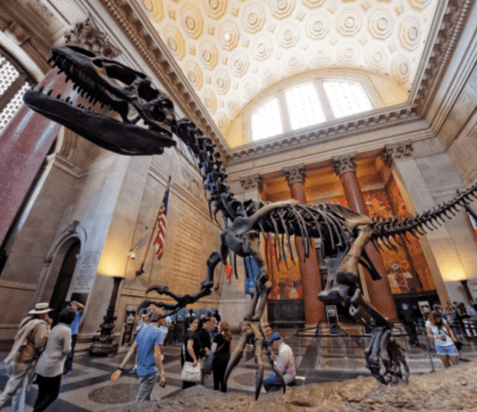 Історія Американського музею природної історії