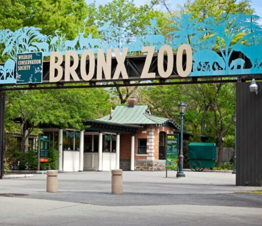 Рекомендовано для відвідування у Нью-Йорку – зоопарк Бронкса