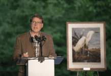 “Audubon” – экологическая организация, занимающаяся сохранением птиц и среды их обитания