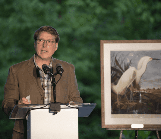 “Audubon” – экологическая организация, занимающаяся сохранением птиц и среды их обитания