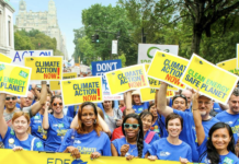 Історія Фонду захисту довкілля Нью-Йорка