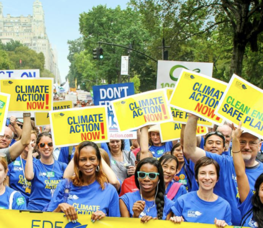 History of Environmental Defense Fund in New York