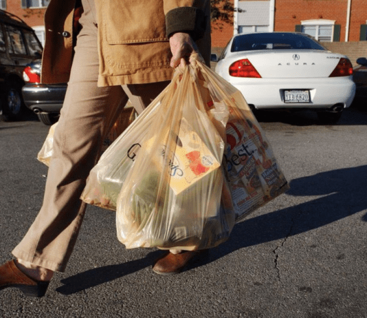 How did New York get rid of plastic bags?