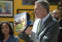 OneNYC: how does New York take care of the environment?