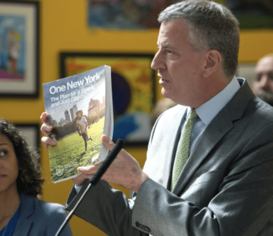 OneNYC: how does New York take care of the environment?