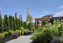 Landscaping in New York: its problems and why is it important?
