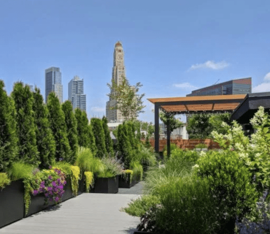 Озеленення Нью-Йорка: проблеми, чому важливо?