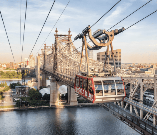 Benefits of eco-friendly transportation in New York