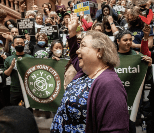 New York City Environmental Justice Alliance: activities and notable achievements