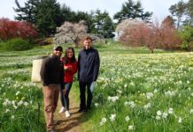 Нью-Йоркський ботанічний сад: історія унікального місця, де росте понад 1 млн рослин