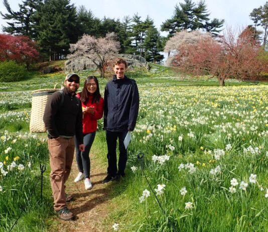 Нью-Йоркский ботанический сад: история уникального места, где растет более 1 млн растений