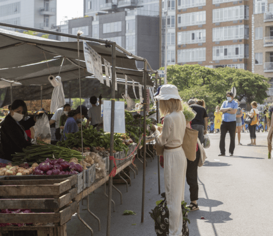 Opportunities for Green Tourism in New York