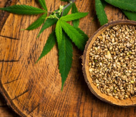 How and where to buy high-quality cannabis seeds?