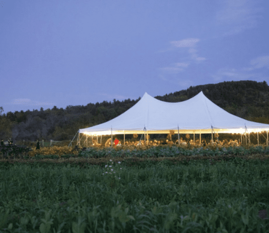 Местная эко-ферма «Echo Farm»