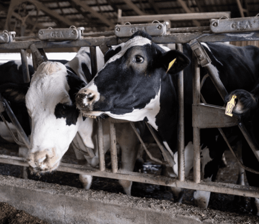 Климат, его изменения и влияние на сельское хозяйство Нью-Йорка