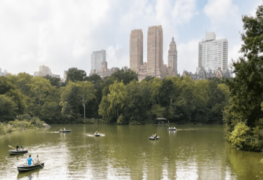 Где провести досуг на природе в Нью-Йорке?