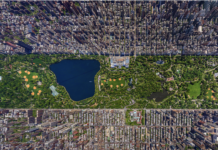 Центральний парк – справжні зелені легені Нью-Йорка та їхнє значення для навколишнього середовища