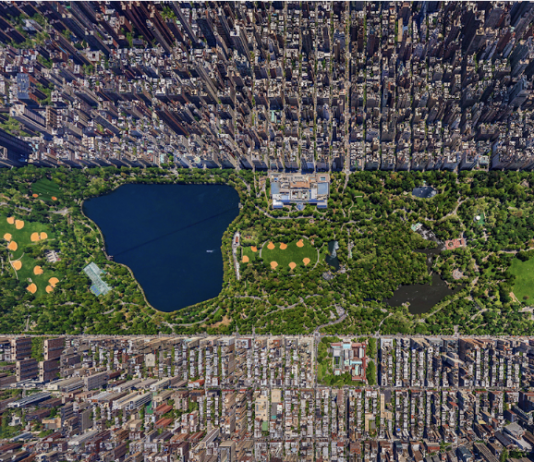 Центральный парк — настоящие зеленые легкие Нью-Йорка и их значение для окружающей среды