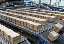 Оптимізація виробничих процесів: стратегічна важливість якісних конвеєрних систем