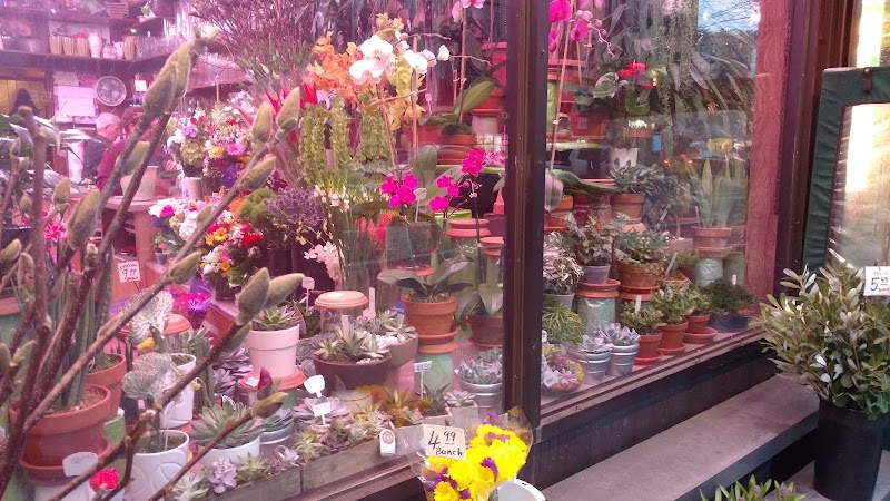 Chelsea Florist, Inc