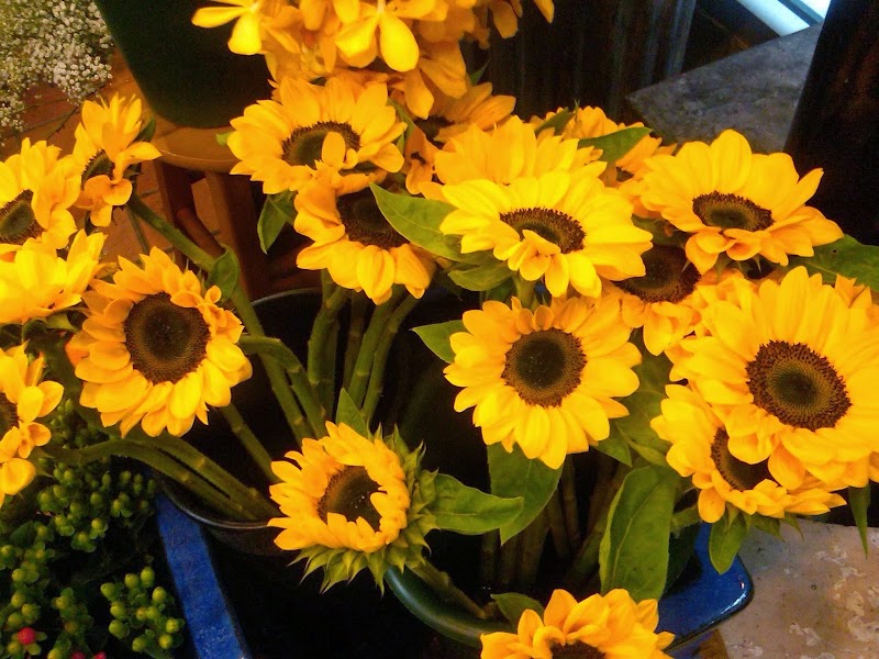Matles Florist