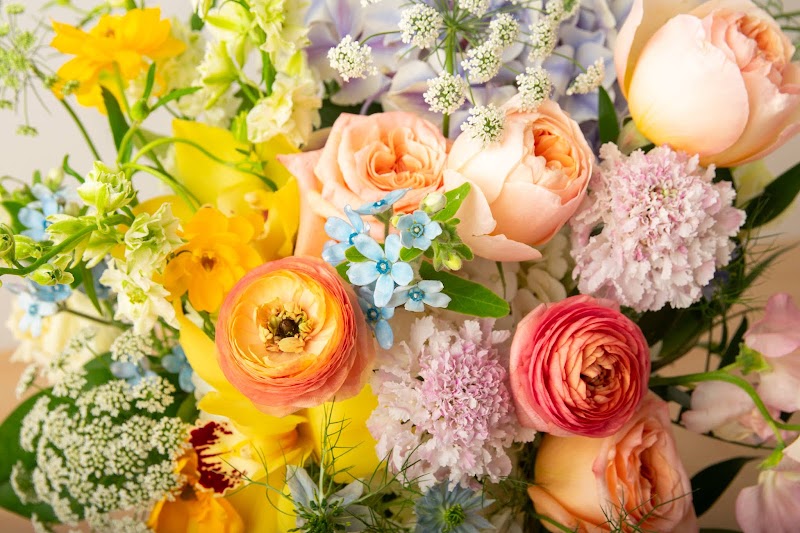 Scotts Flowers NYC