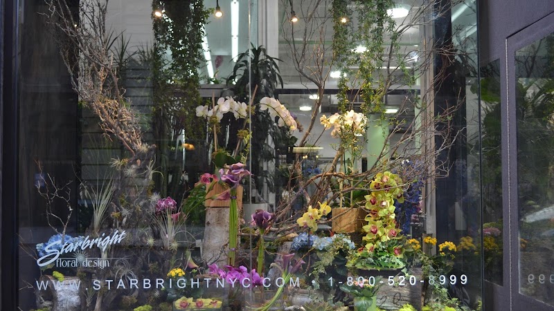 Starbright Floral Design