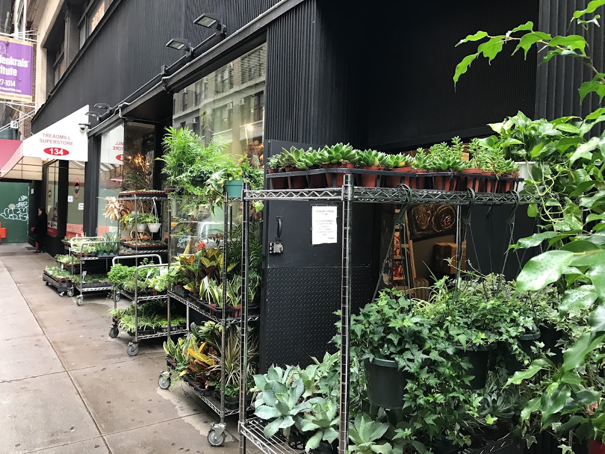 Starbright Floral Design — Florist